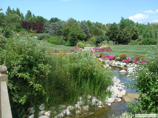 dsc00241