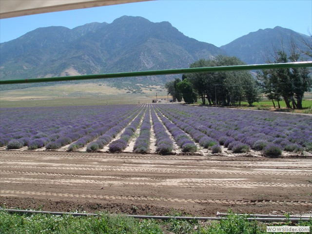 dsc00260