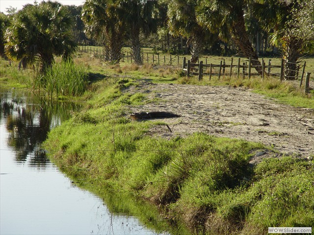 dsc00500
